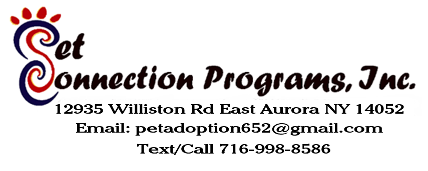 Pet Connection Programs